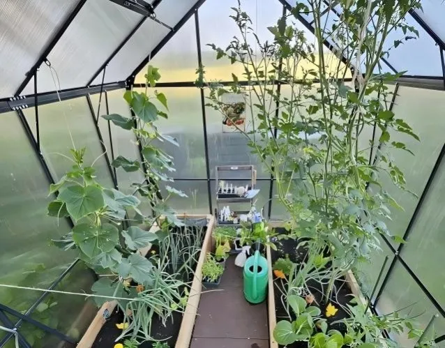 Aluminum Greenhouse Single Sliding Door 250cm Width