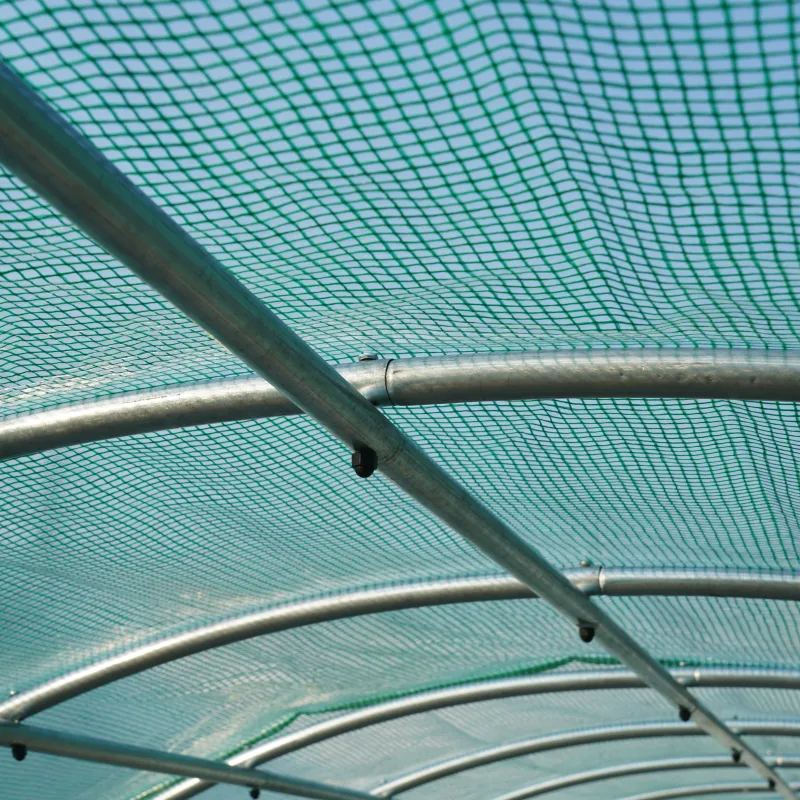 Polytunnel Greenhouse with Roll-up Side Walls