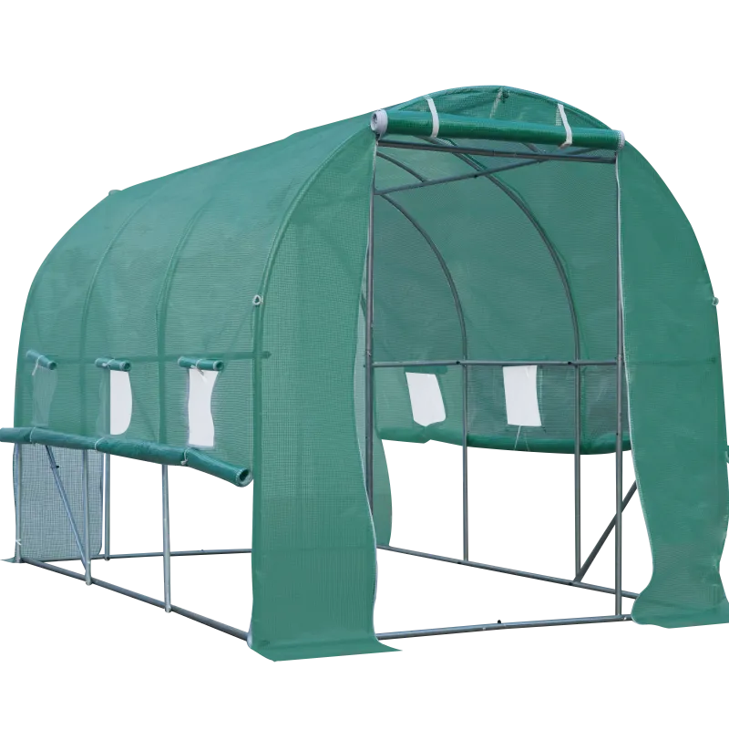 Polytunnel Greenhouse with Roll-up Side Walls