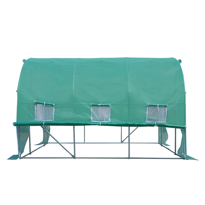 Polytunnel Greenhouse with Roll-up Side Walls