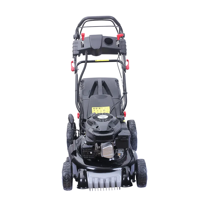 Gasoline Lawn Mower 18170 Estart Speed