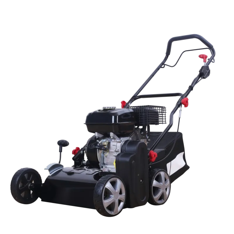 Gasoline Scarifier 40212s