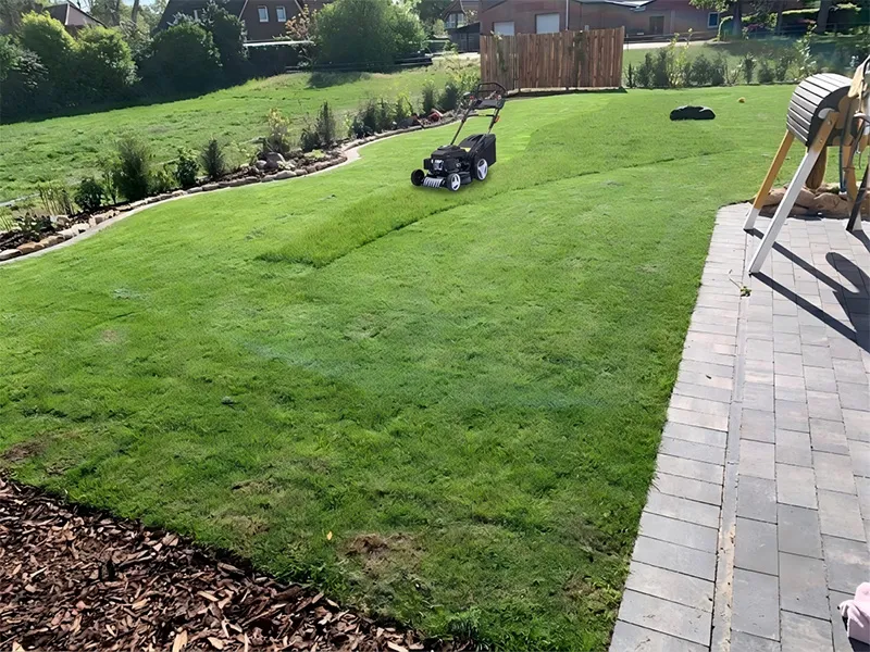 Mulch, Bag, or Discharge? How a 4-in-1 Lawn Mower Saves You Time and Fertilizer