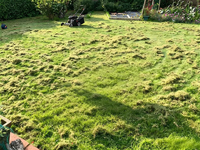 Scarifier vs. Dethatcher: Which One Does Your Suffocating Lawn Actually Need?