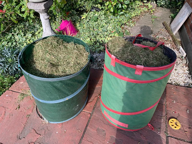 Precision Depth Control: How to Renovate Your Lawn Without Destroying It